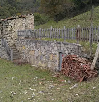 Foto annuncio 13