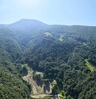 Foto annuncio 10