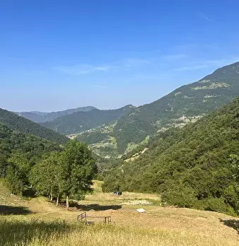 Foto annuncio 14