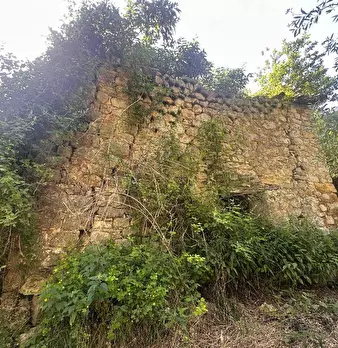 Foto annuncio 9