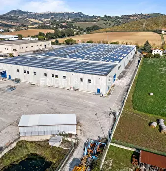 Foto annuncio 12