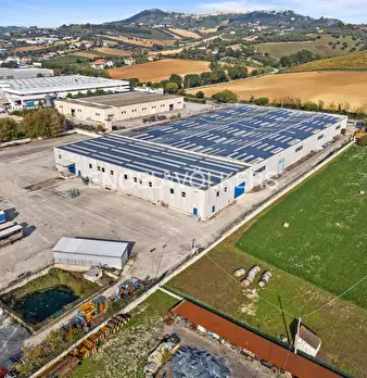 Foto annuncio 16