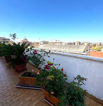 Foto annuncio 15