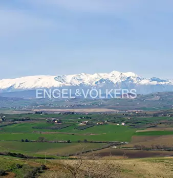 Foto annuncio 33