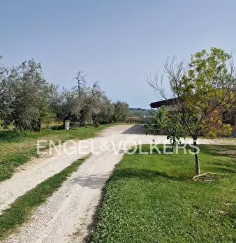 Foto annuncio 7