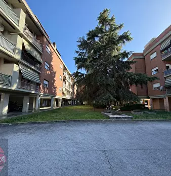Foto annuncio 11