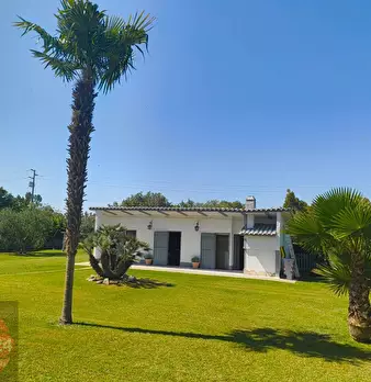 Foto annuncio 21