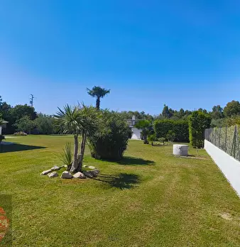 Foto annuncio 52