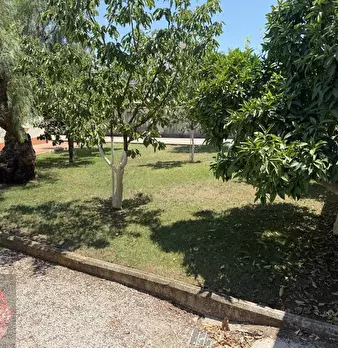 Foto annuncio 31