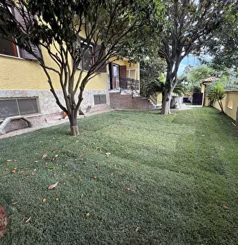 Foto annuncio 11