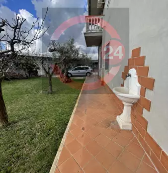 Foto annuncio 40