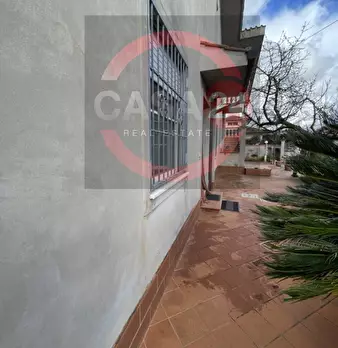Foto annuncio 39