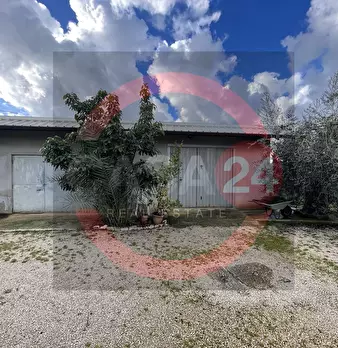 Foto annuncio 38