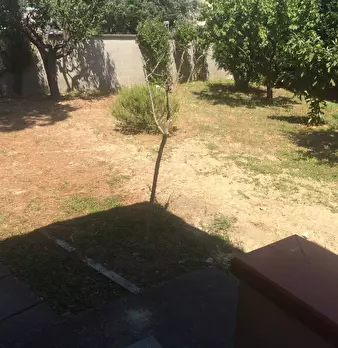 Foto annuncio 12