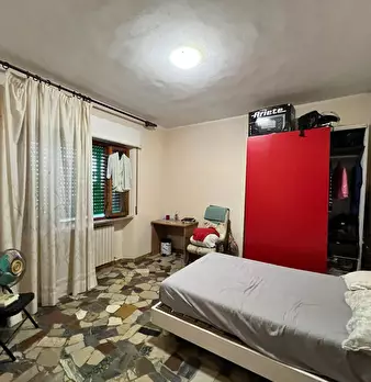 Foto annuncio 7
