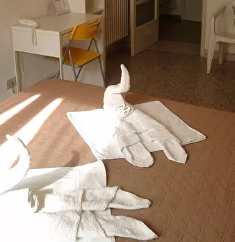 Foto annuncio 2
