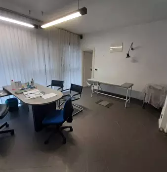Foto annuncio 7
