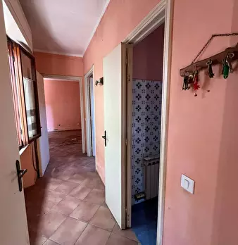 Foto annuncio 39