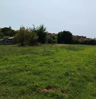 Foto annuncio 4