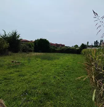 Foto annuncio 5