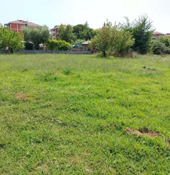 Foto annuncio 6