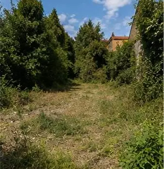 Foto annuncio 5