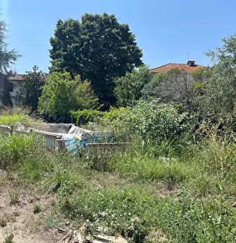 Foto annuncio 27