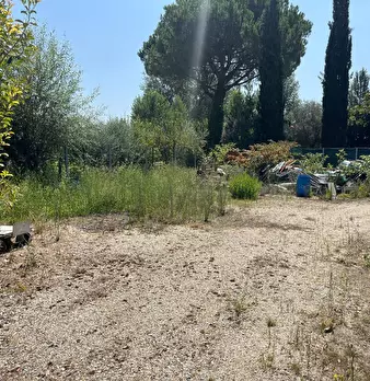 Foto annuncio 28