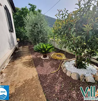 Foto annuncio 18