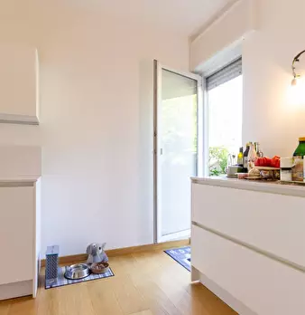 Foto annuncio 9