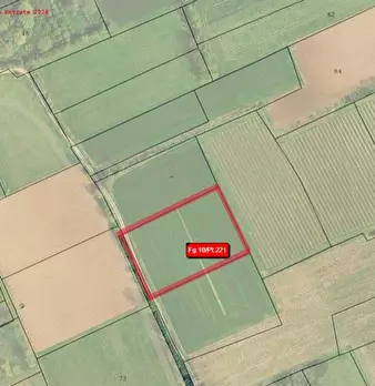 Foto annuncio 1