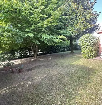 Foto annuncio 40