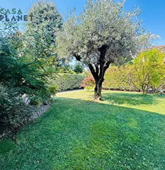 Foto annuncio 50