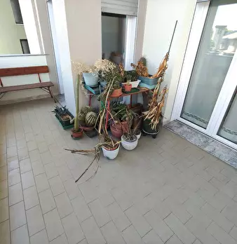 Foto annuncio 19