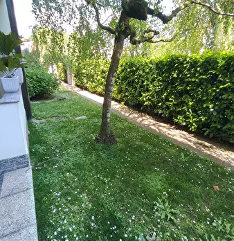 Foto annuncio 40