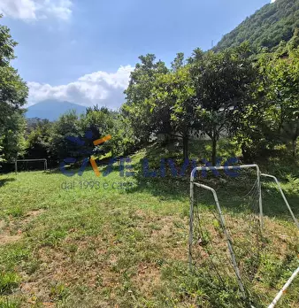 Foto annuncio 43
