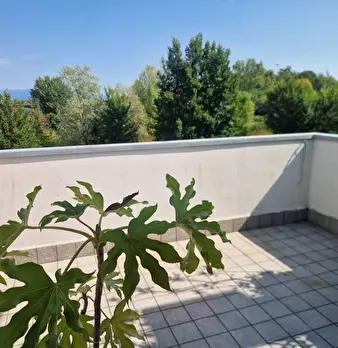 Foto annuncio 28