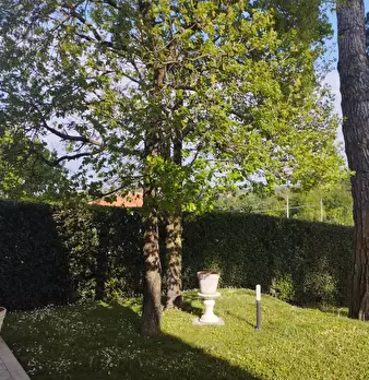 Foto annuncio 59