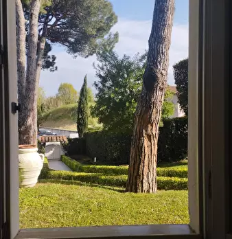 Foto annuncio 62
