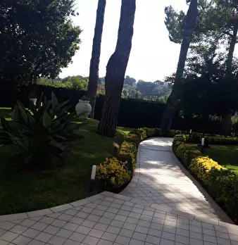 Foto annuncio 78