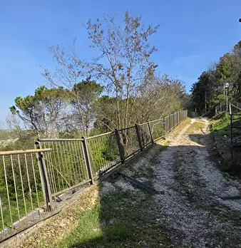 Foto annuncio 18