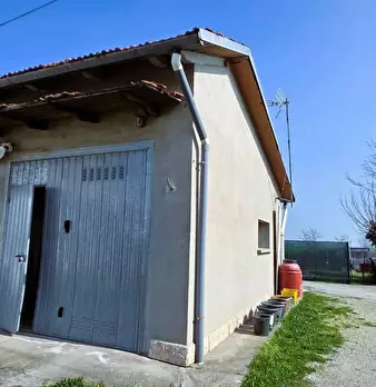 Foto annuncio 11