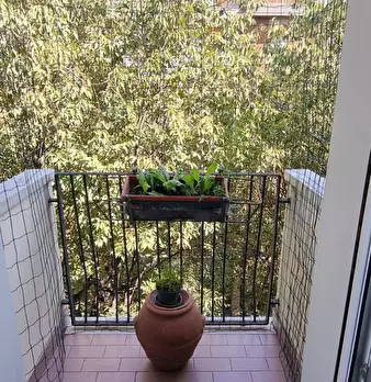 Foto annuncio 13