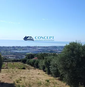 Foto annuncio 8