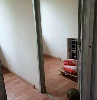 Foto annuncio 4