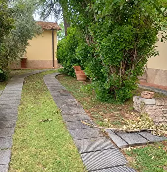 Foto annuncio 7