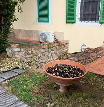 Foto annuncio 8
