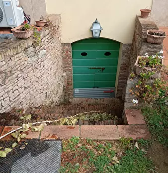 Foto annuncio 11