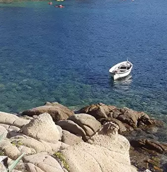 Foto annuncio 10