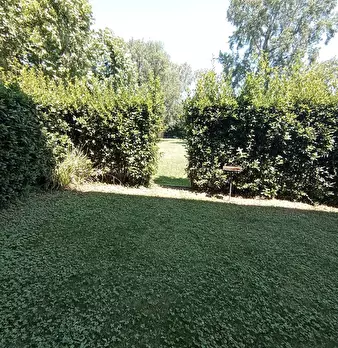 Foto annuncio 29